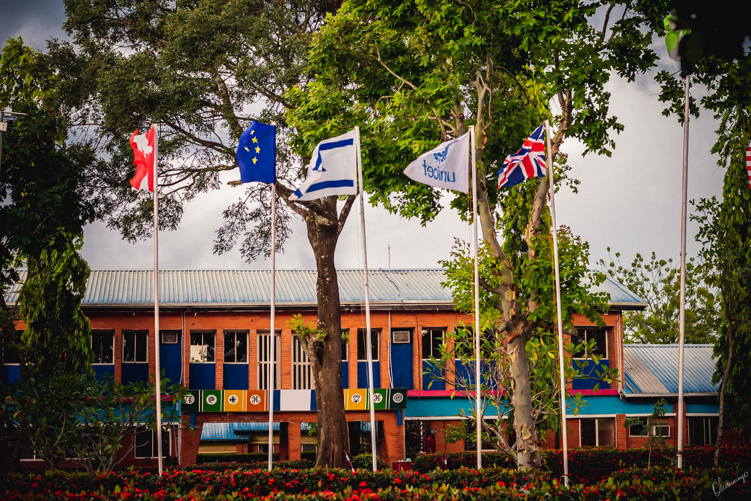 Students learning languages at TAU FLC